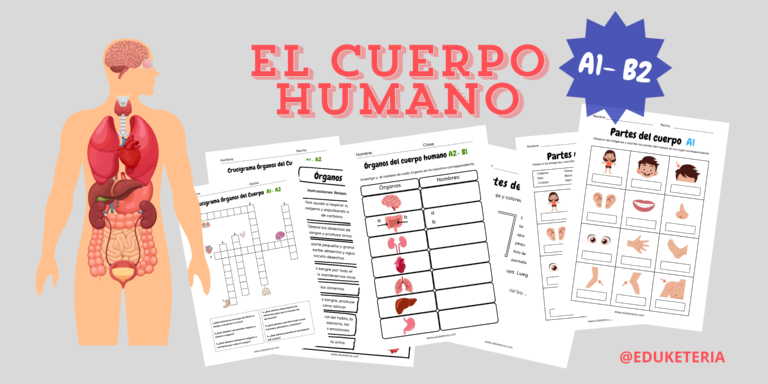 Partes del cuerpo y órganos: material gratuito para clases de ELE (A1–B2)
